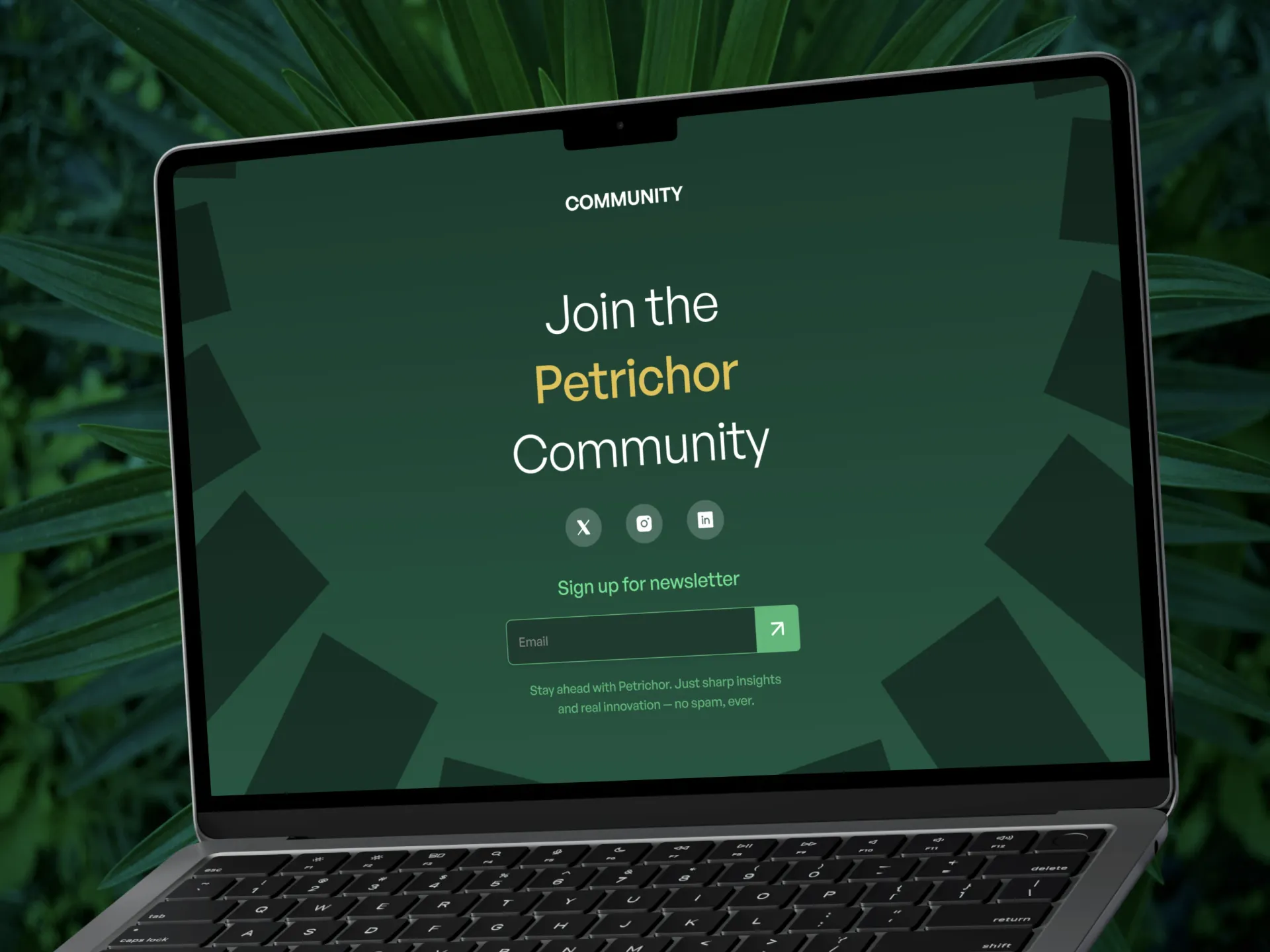 Petrichor Community section: 'Join the Petrichor Community' with newsletter sign-up