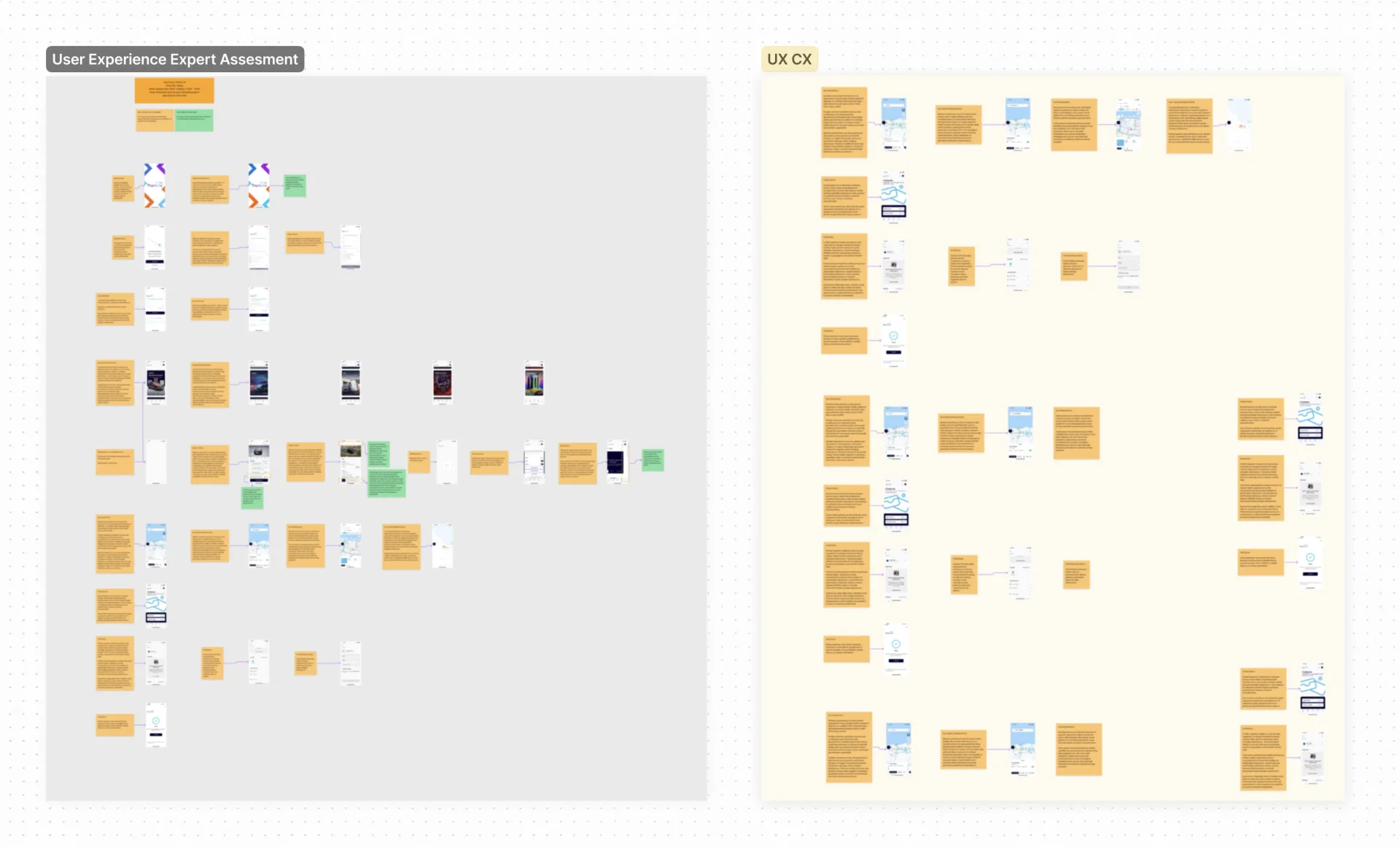 Trumore · PX-RAY · the full audit board