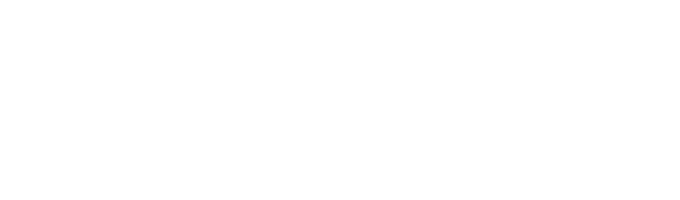 Enjoy eSIM logo